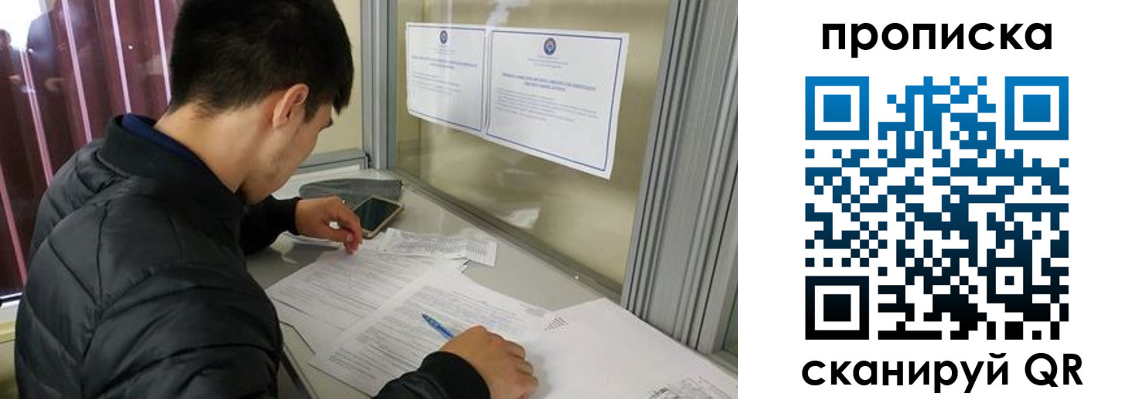 прописка гарантия в Бердске